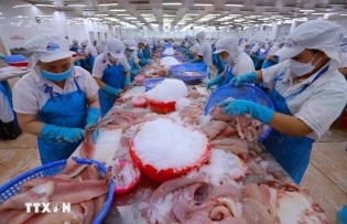 Vietnam takes swift, proactive actions in response to new US tariff policy