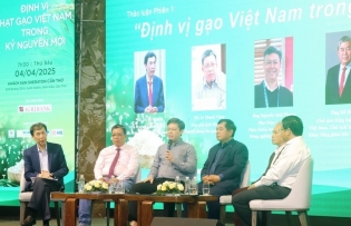 Symposium seeks solutions for Vietnamese rice amidst market challenges
