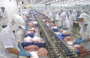 Vietnam acts fast to shield seafood exports amid US tariff