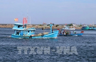 Soc Trang province intensifies efforts to clamp down on illegal fishing