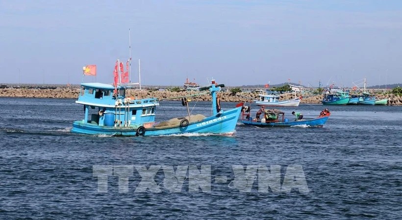 Illustrative image (Photo: VNA)