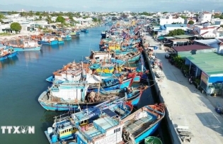 Binh Dinh ramps up fight against IUU fishing