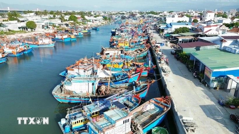 The fishing fleet of local fishermen docks at Dong Hai Fishing Port in Phan Rang–Thap Cham city, Binh Dinh province. (Photo: VNA)