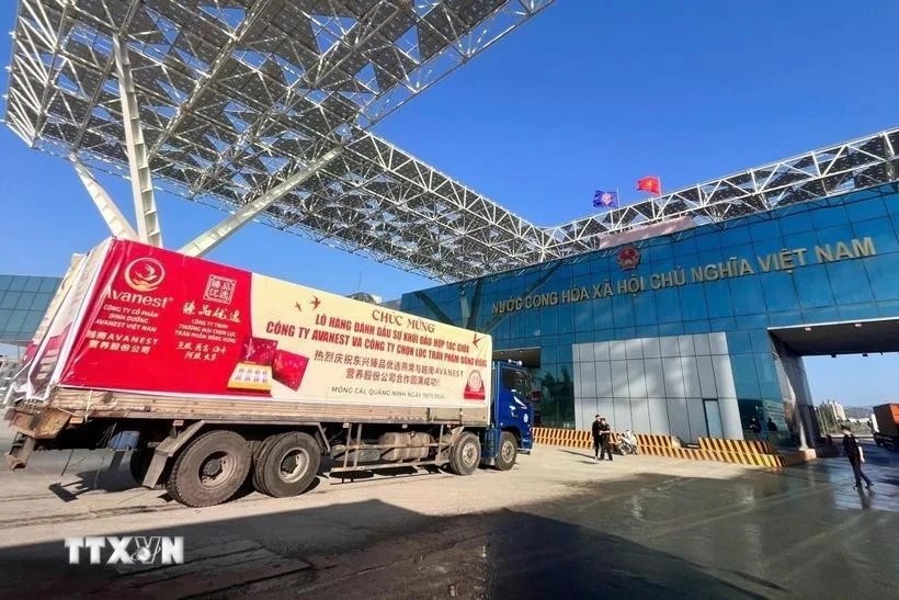 The first shipment of bird’s nests exported to China via Bac Luan II Bridge border gate in Mong Cai, Quang Ninh. (Photo: VNA)