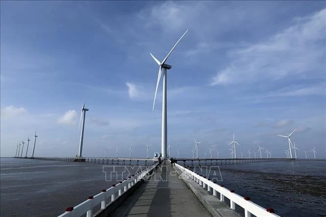 Bac Lieu Wind Power Plant has 62 turbines with a total estimated capacity of 99MW. (Photo: VNA)
