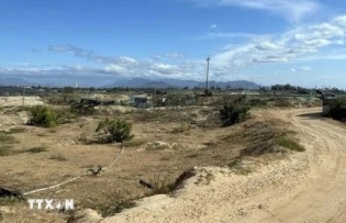 Nuclear energy development to facilitate green transition: Conference