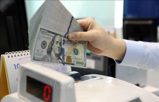 Remittances to HCM City reach over 2.41 billion USD in first quarter