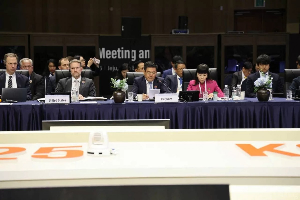 Jeju's tangerine season and the lingering dream of healing global trade