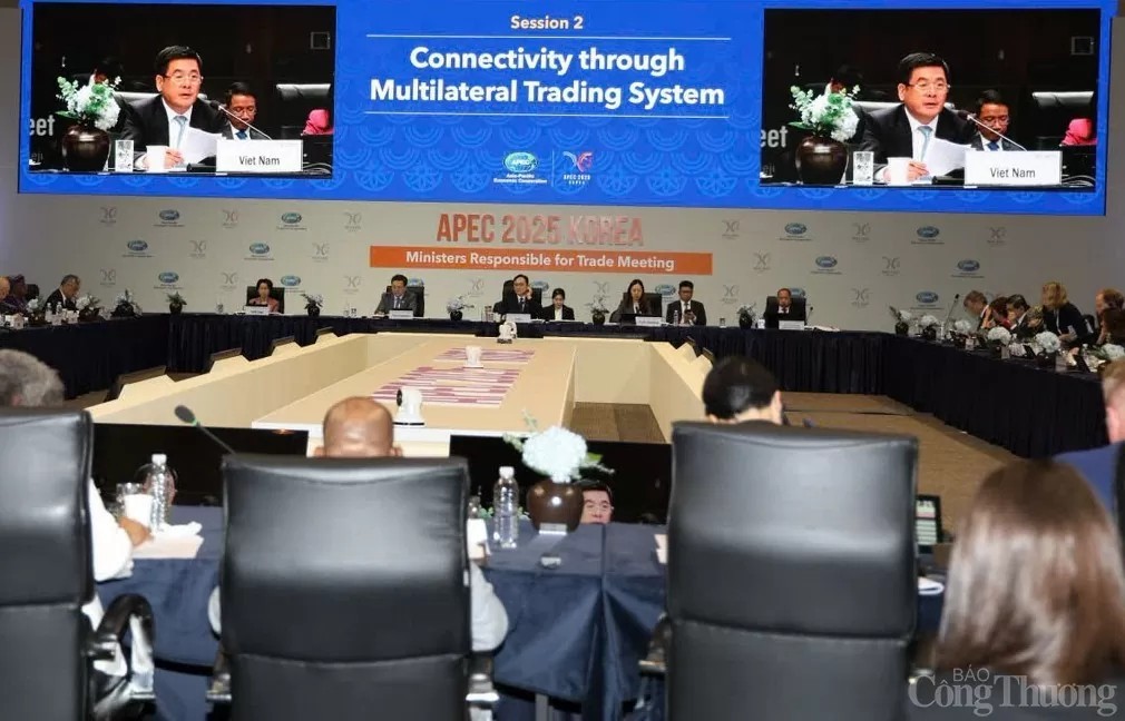 Jeju's tangerine season and the lingering dream of healing global trade