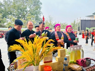 Expanding market access for Yen Bai Province’s highland specialties