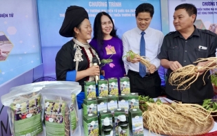 Vietnam's midlands and mountainous areas push for e-commerce development