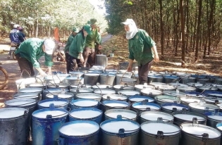 Vietnam ramps up rubber imports from South Korea and China to meet domestic demand