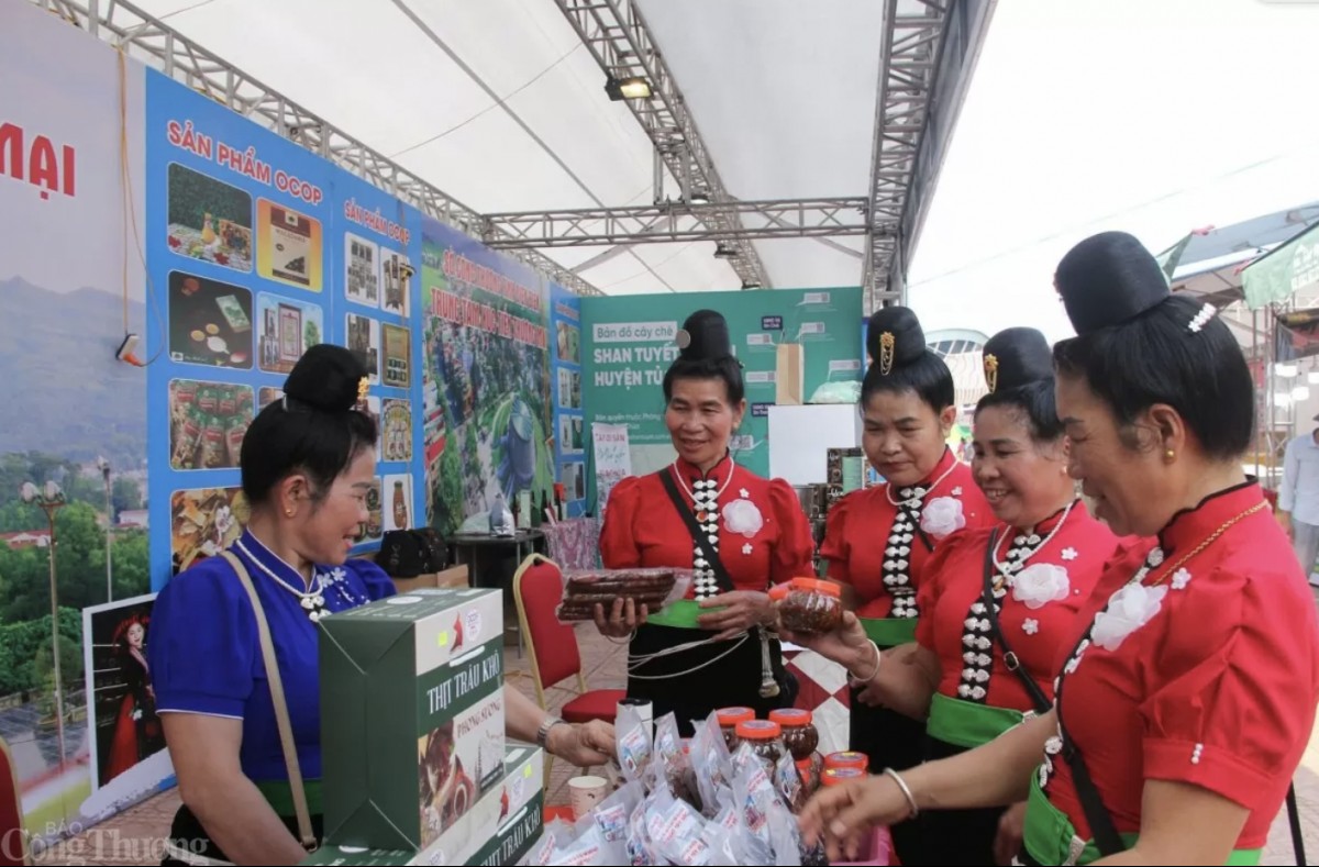 Bringing highland specialties beyond mountains – Part 2: Boosting market access for macademia