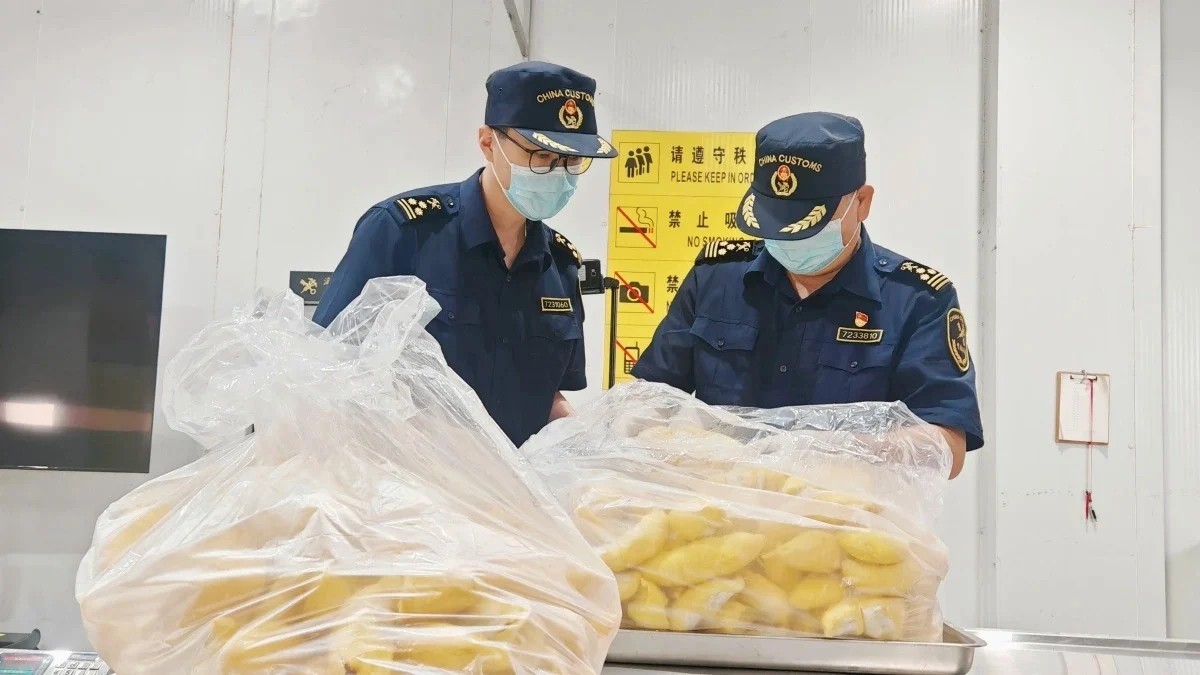 Chinese customs officers inspect frozen durian shipments. (Photo: Guangxi Daily)