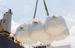 Golden opportunity to boost Vietnamese rice exports to Singapore