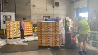 Over 100 tonnes of Vietnamese lychees arrive in Europe