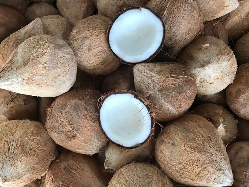 Vietnam's raw coconuts imports increased by more than 11 times