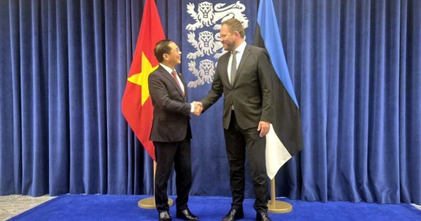 Viet Nam, Estonia agree to soon implement political consultation mechanism