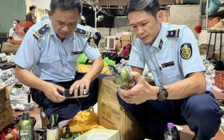 Over 3,100 smuggling and counterfeit cases detected in nationwide campaign
