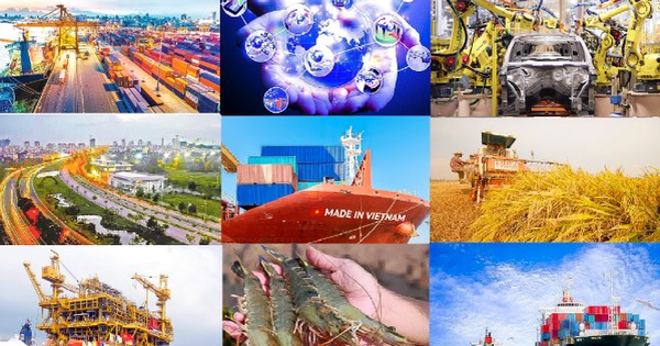 Viet Nam makes remarkable economic progress over past decades: OECD report