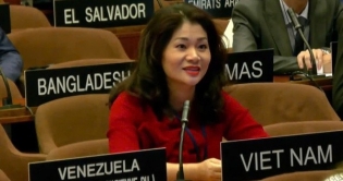 Viet Nam elected to UNESCO culture diversity committee for third time