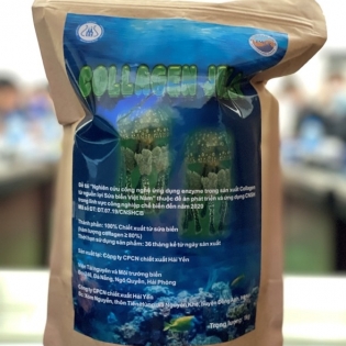 Research yields effective process of collagen production from jellyfish
