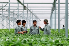 Investment in high-tech agriculture growing