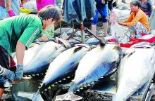 EC delays Vietnam’s illegal fishing yellow-card review