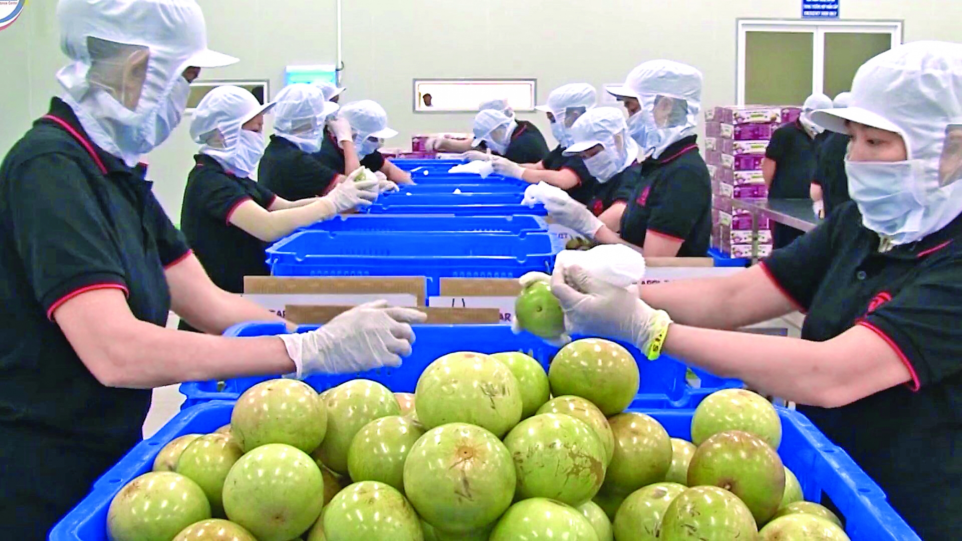 an important factor in attracting fdi