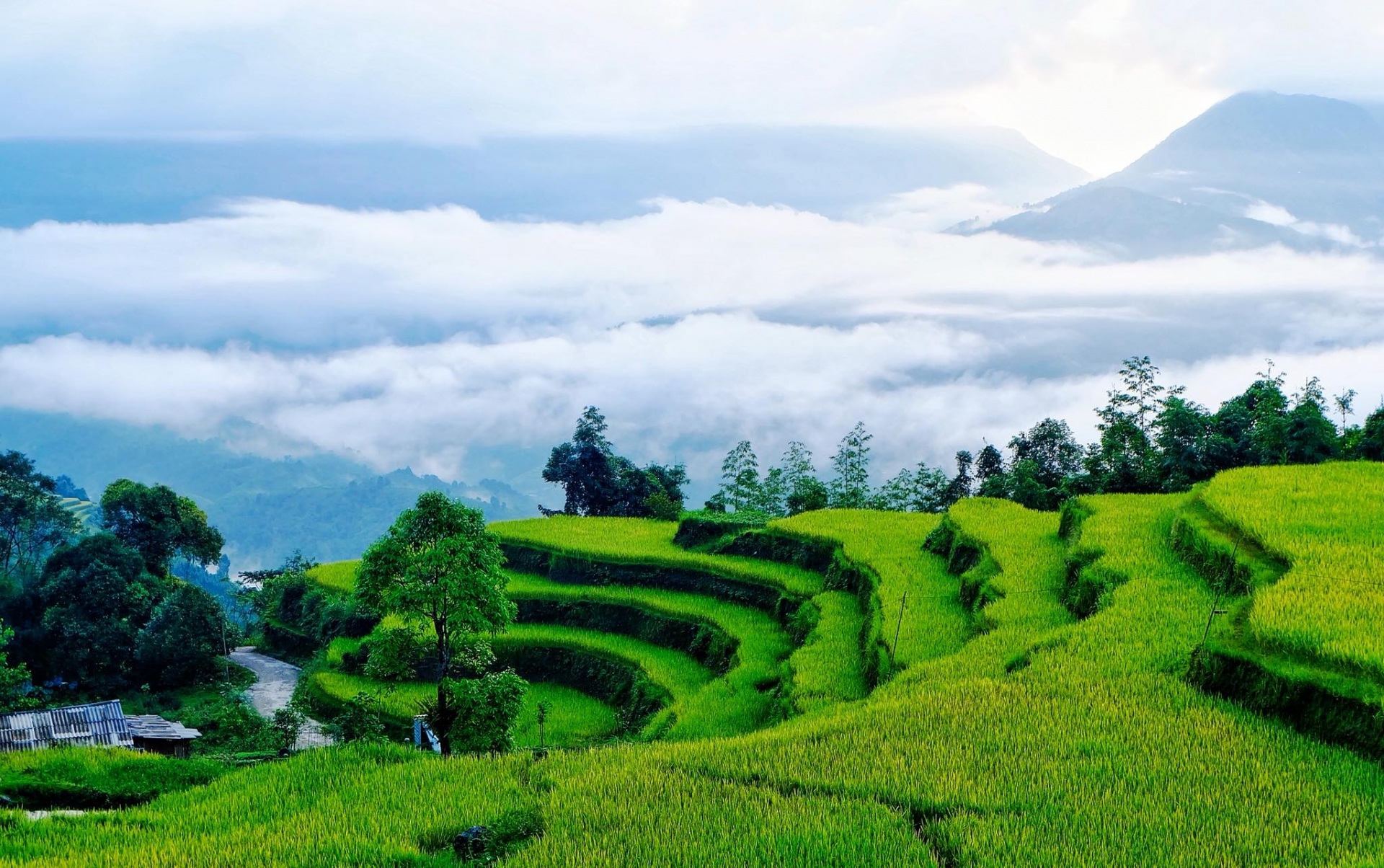 red dao villagers offer homestays stunning views in ha giang province