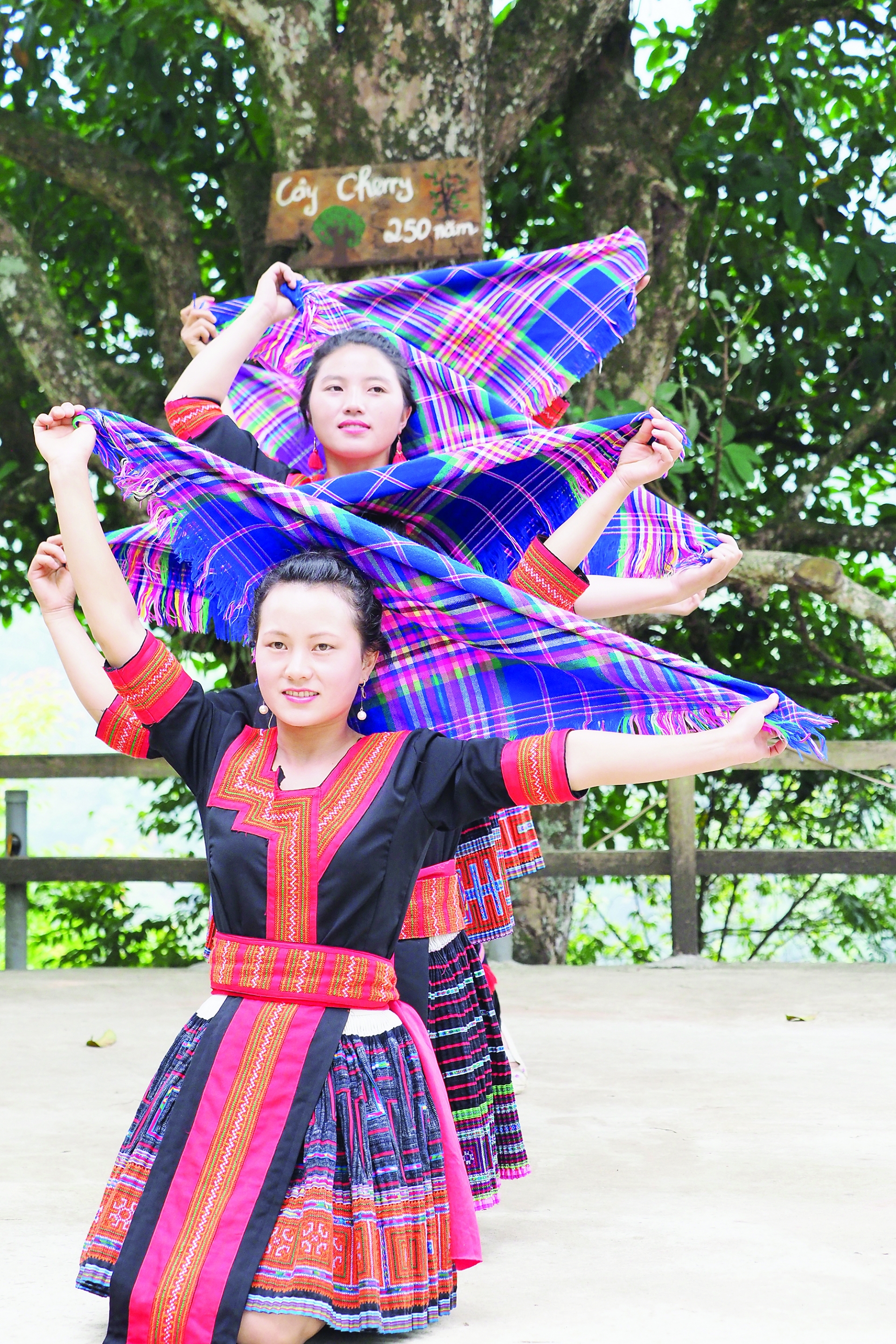H’Mong girls’ scarf dance hmong girls scarf dance
