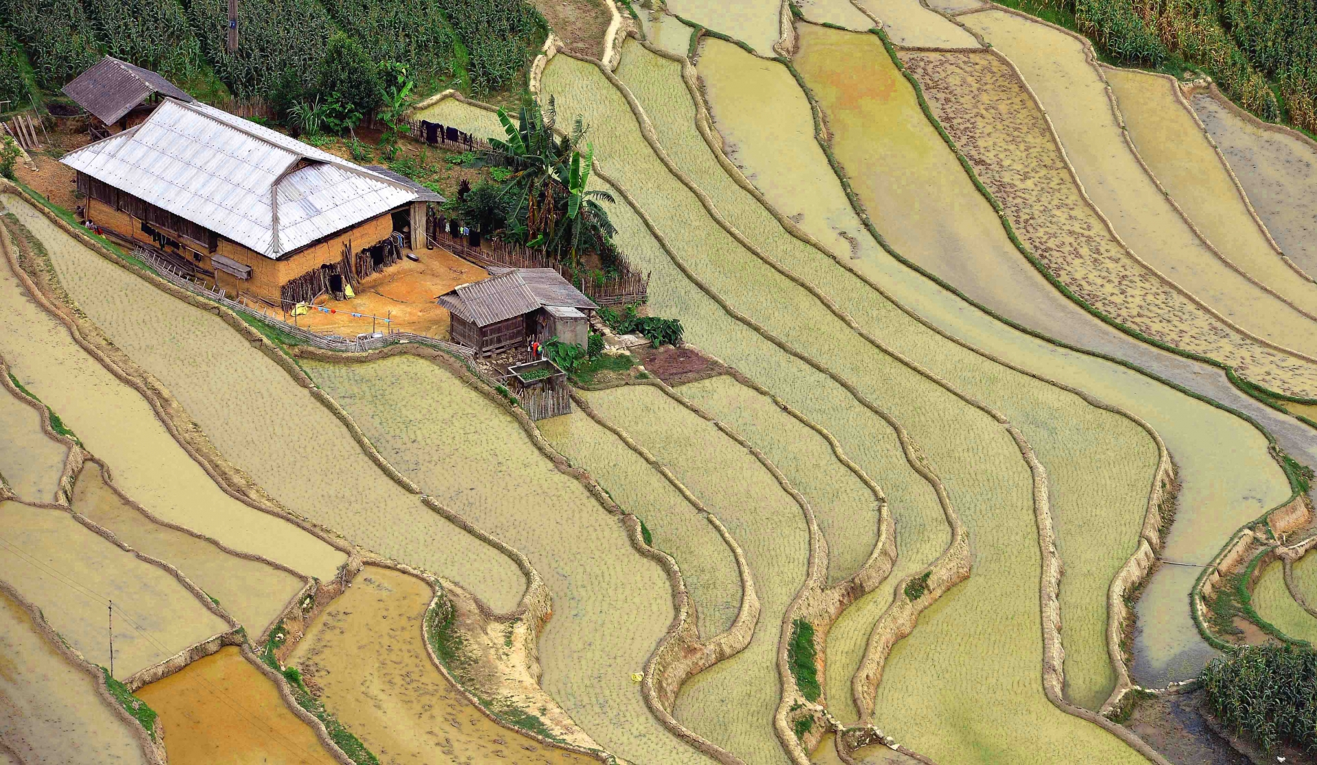 Water pouring season in the northwest water pouring season in the northwest
