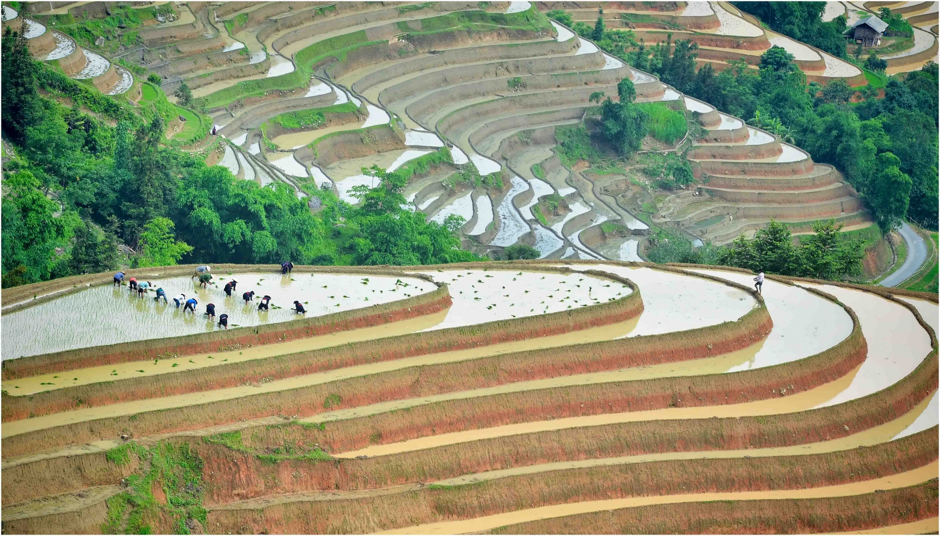 Water pouring season in the northwest water pouring season in the northwest
