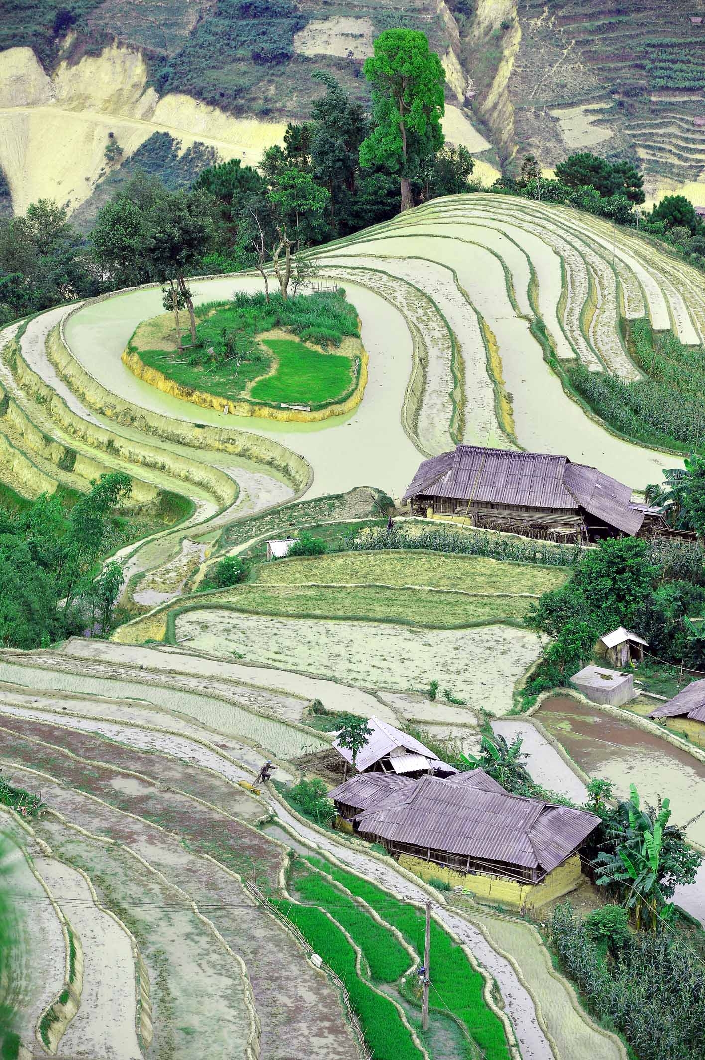 Water pouring season in the northwest water pouring season in the northwest