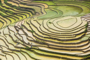 Water pouring season in the northwest