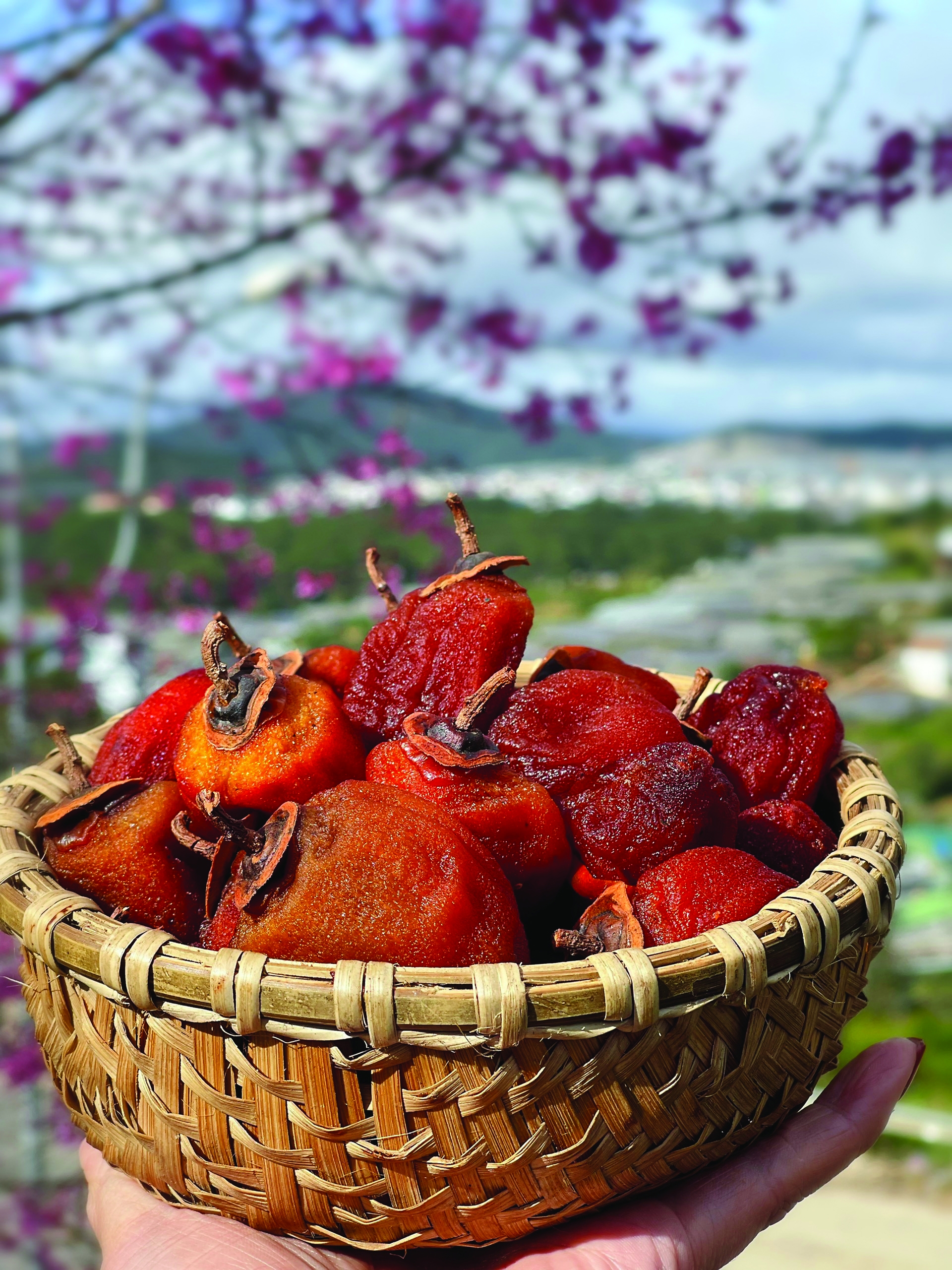 da lats enticing persimmon season