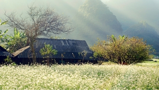 Moc Chau, a four-season destination