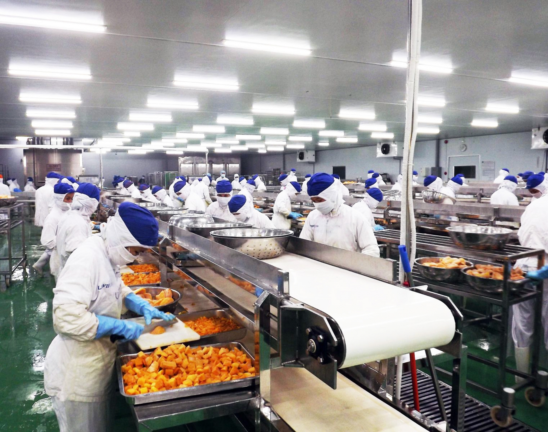 vietnams stock market hits historic highs