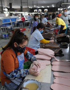 Covid-19 prompts greater focus on developing domestic markets