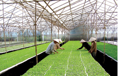 New rural development program realized New rural development program realized