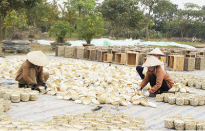 Phu Xuyen develops craft villages 