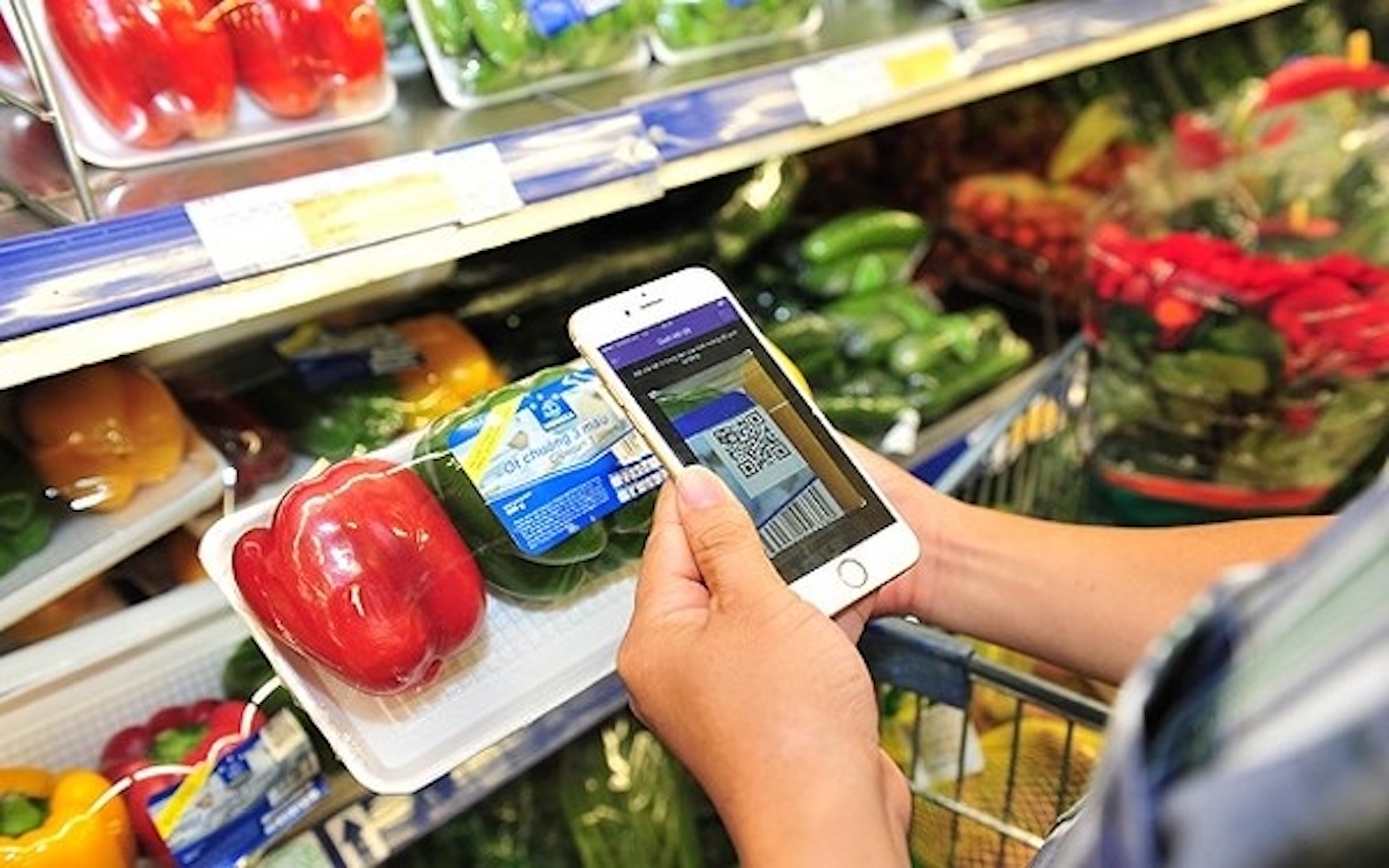 Vietnamese products go global with trust and transparency