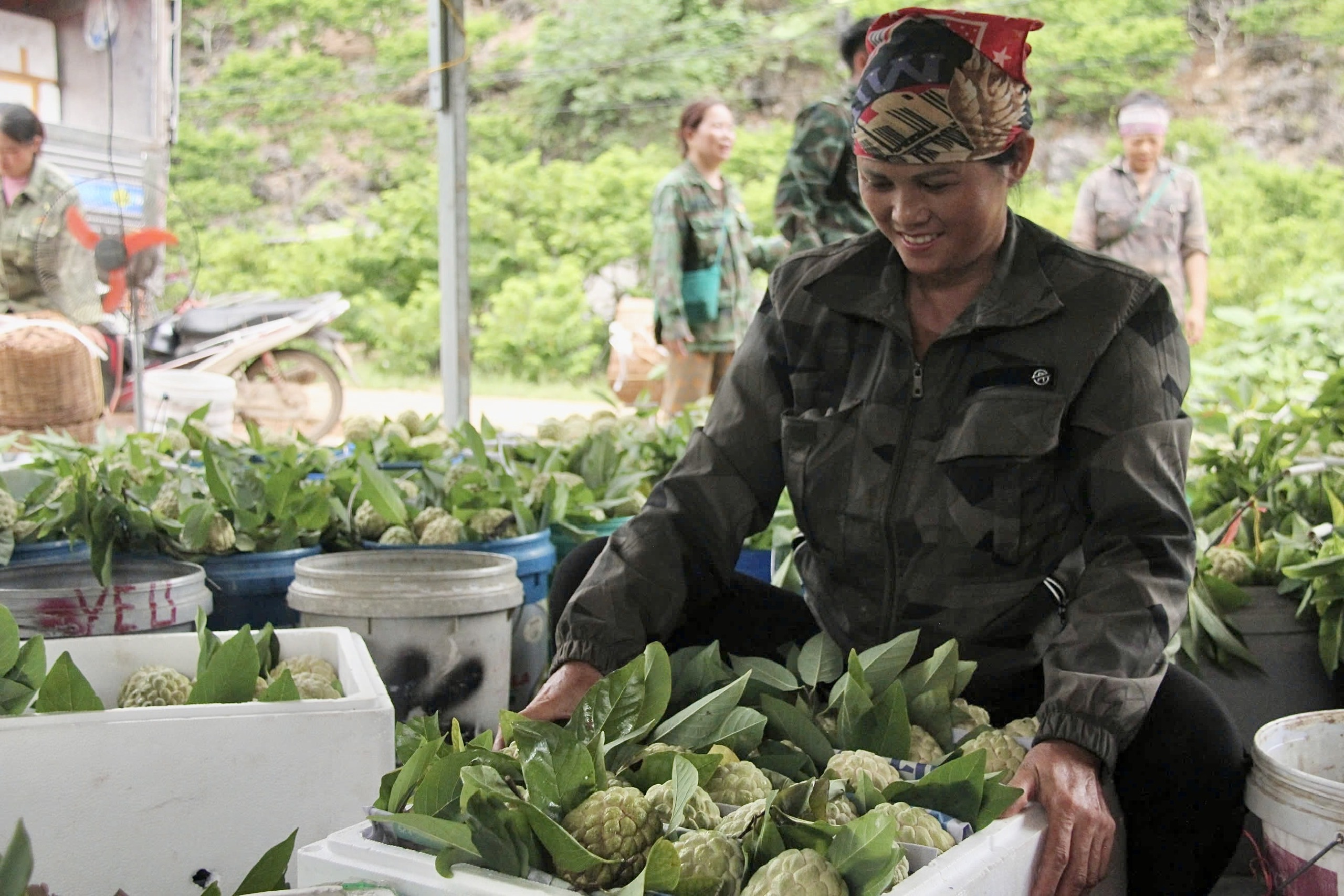 Value chain linkages drive Lang Son’s ethnic products to wider markets