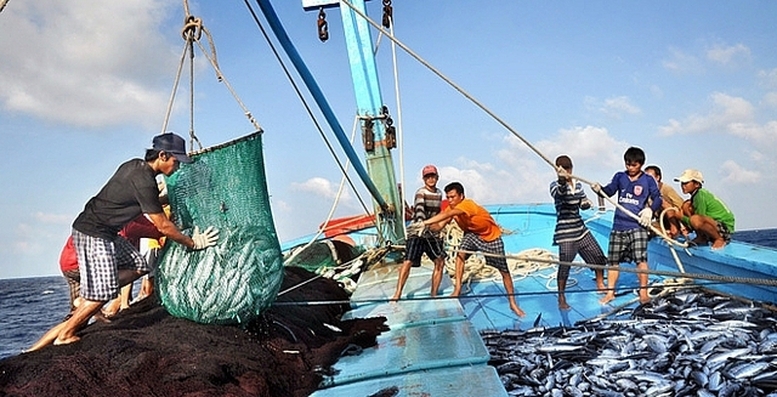 PM assigns the MoIT to monitor and handle IUU trade barriers
