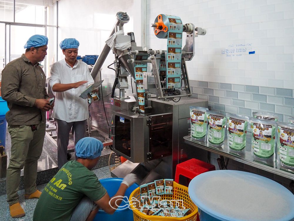 Ca Mau’s industrial promotion boosts rural industry growth