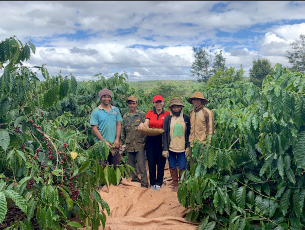 Strengthening linkages for ethnic-minority produce