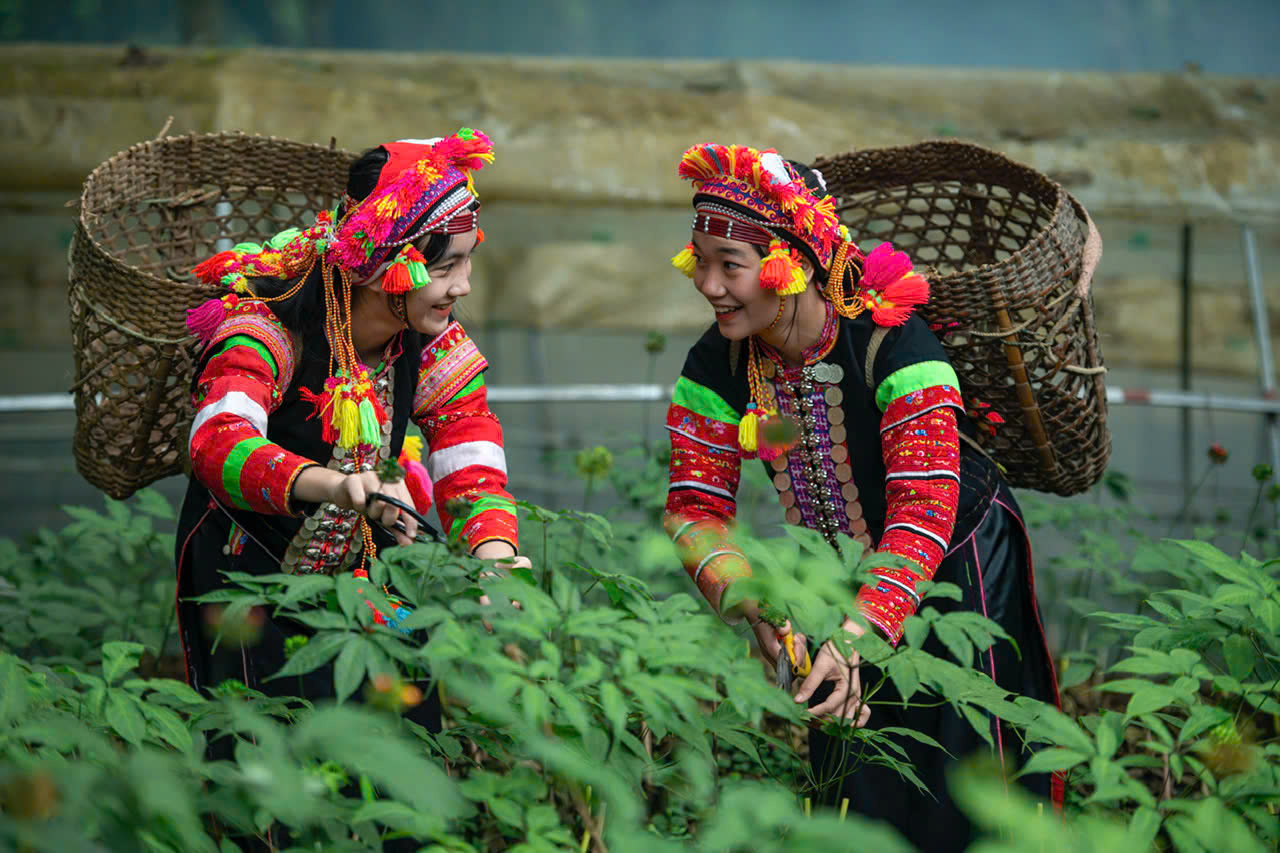 Value-chain linkages for products from ethnic minority areas