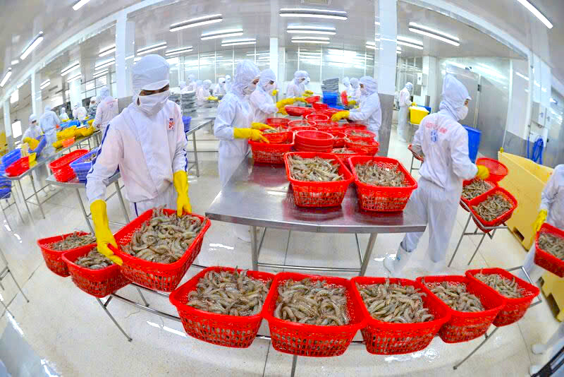 VIFTA Agreement: A new driver for Vietnam-Israel comprehensive cooperation