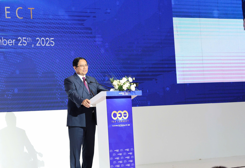 Ho Chi Minh City strives to become int’l mega-city in digital era