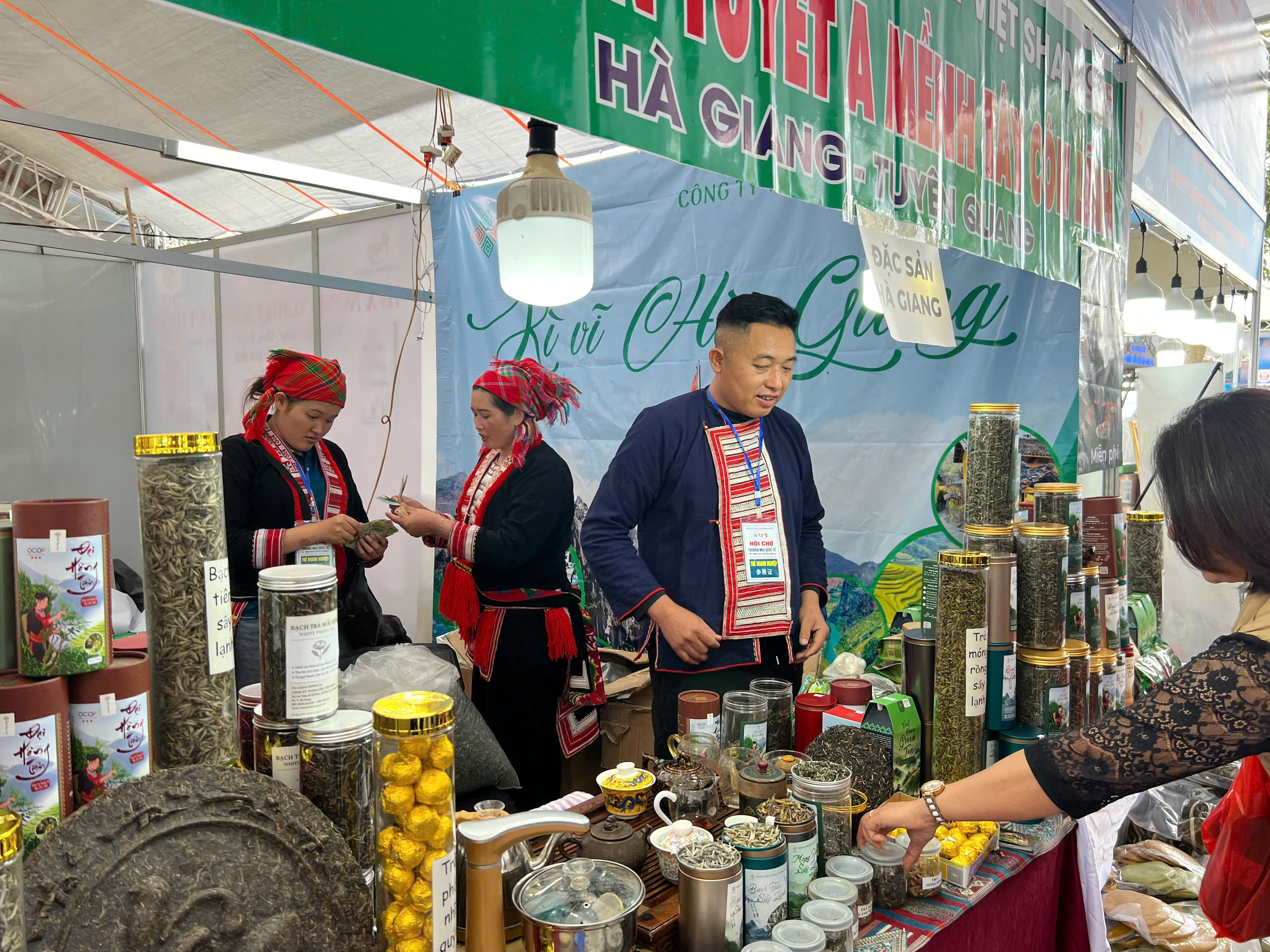 Ancient Shan Tuyet tea: From Vietnam’s highlands to global markets